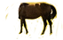 Pferdekörper