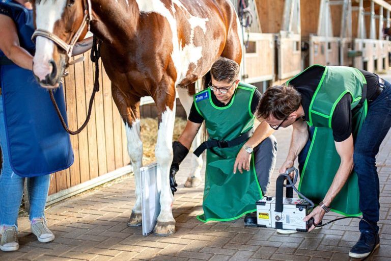 Tierärzte von Die Pferdetierärzte Kojah & Dylewski erstellen ein Röntgenbild von einem Pferdefuß